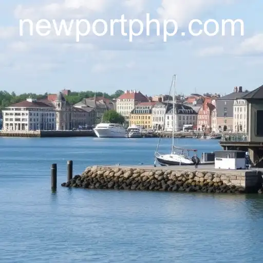 Understanding Privacy Policies with a Focus on Newport